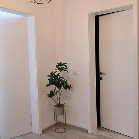 My Place Free Parking & Self Check-in Appartement